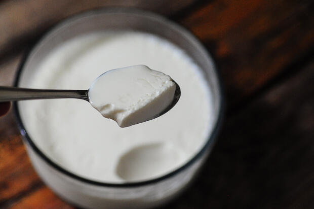 Curd & Yogurt