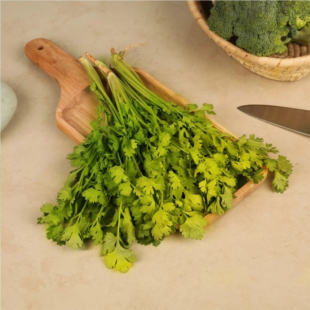 Fresh Coriander Bunch (Dhaniya Patta) 200g